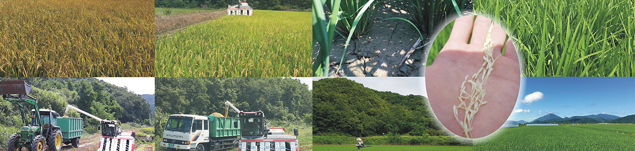 회사 이미지 회사 이미지